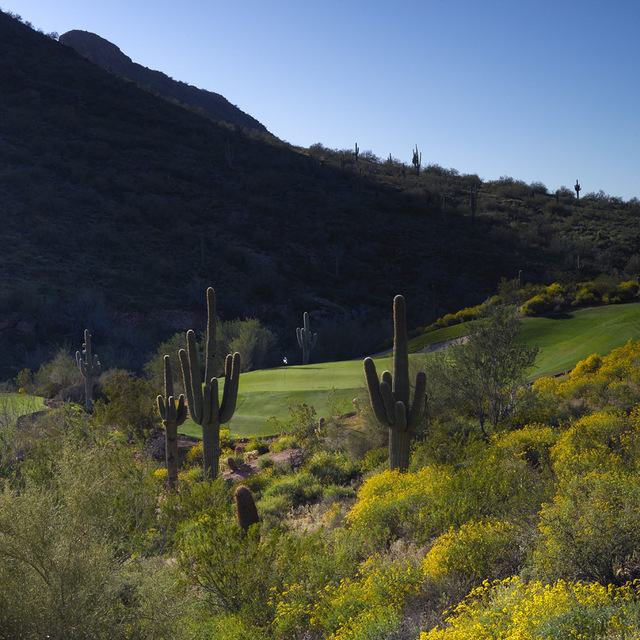 Fun and easy to play Eagle Mountain Golf Club just NE of Scottsdale