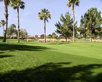 Links GC at Queen Creek: #6