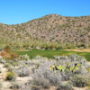 The Tortolita Course from the tee at hole 5