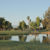 A view from Palmbrook Golf Club