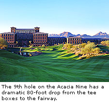 Acacia Nine