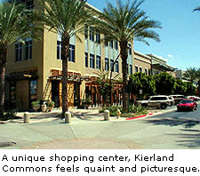 A Unique Shopping Center