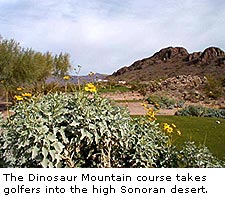 The Dinosaur Mountain