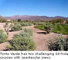 Tonto Verde