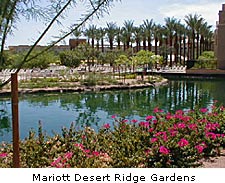 Mariott Desert Ridge Gardens